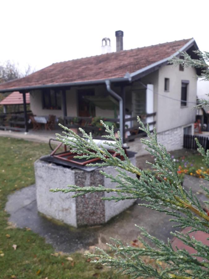 Apartment Galerija Jovanovic Topola